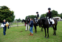 Dressage, Classes 5 to 10